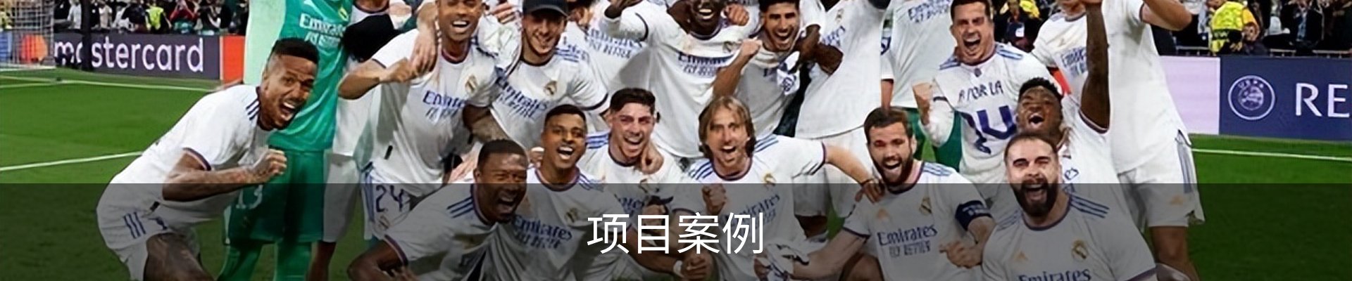 项目案例